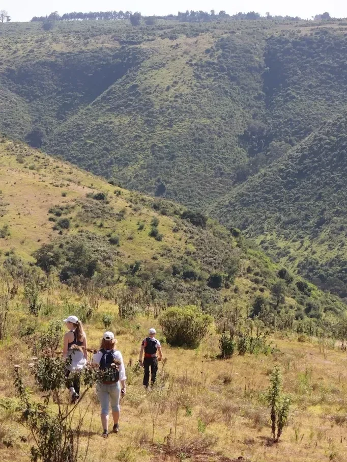 Kolm matkajat laskuvad rohelisse elevandioru Nyahururus Keenias päikeselisel päeval