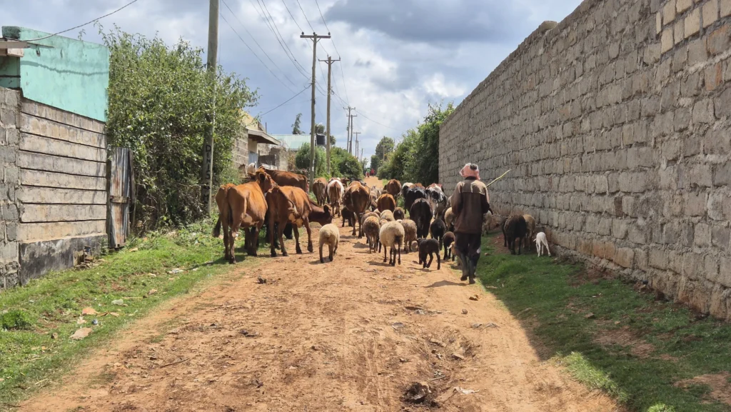 Inimesed ja loomad mahuvad koos elama.