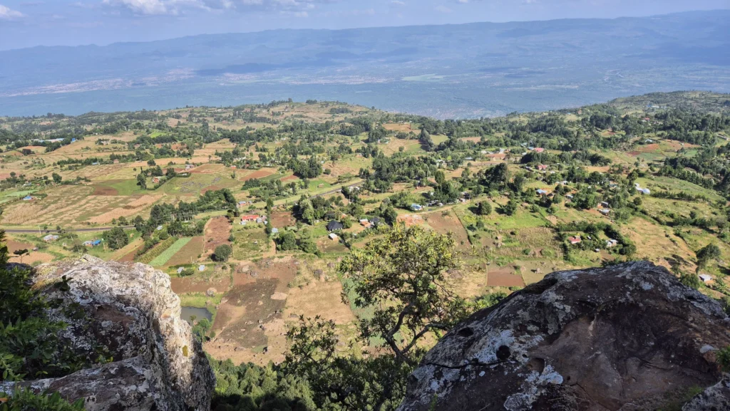 Vaated orule Itenis.