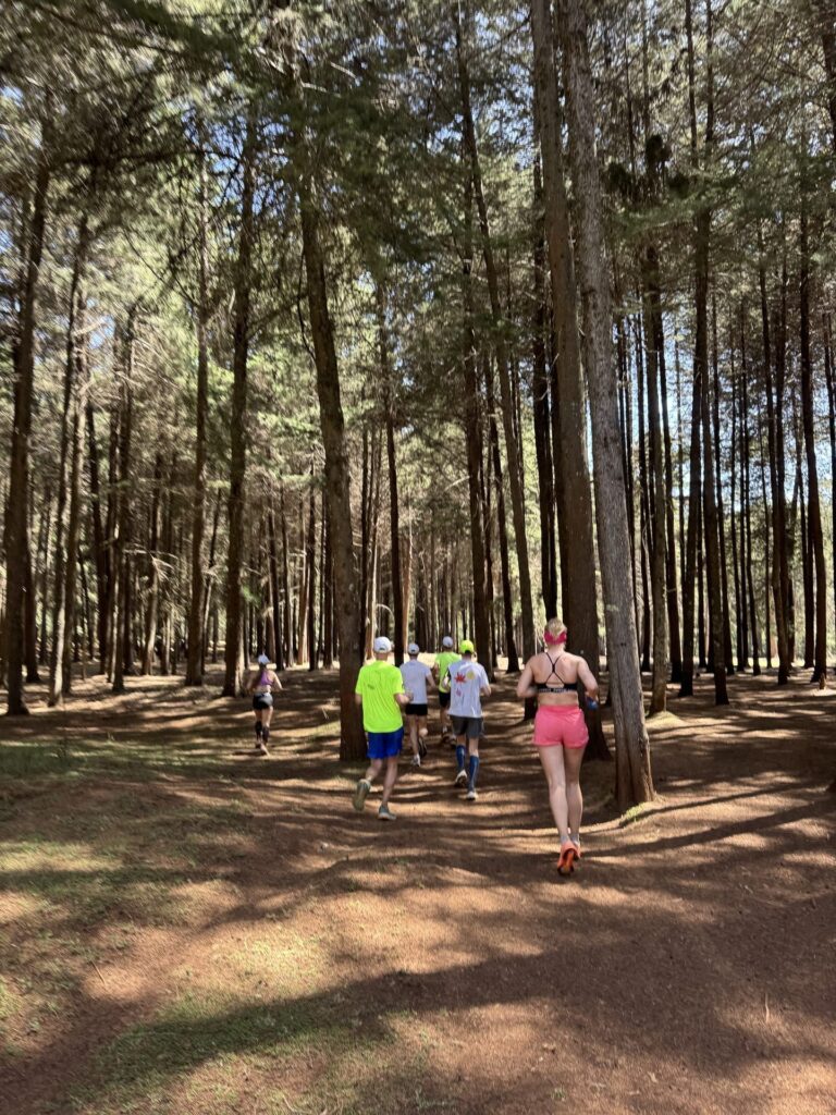 Jooksjad kõrgete eukalüptipuude vahel Keenia metsas