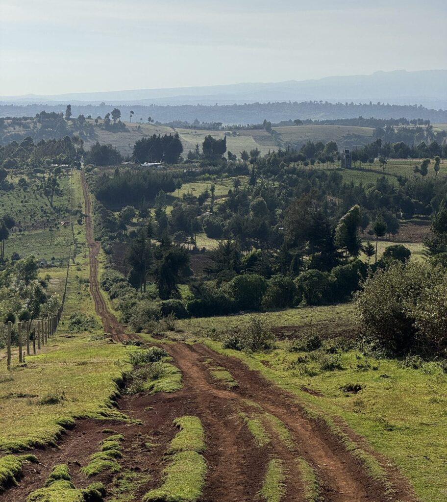 Rohelised põllud ja mets Keenia maapiirkonna maastikul