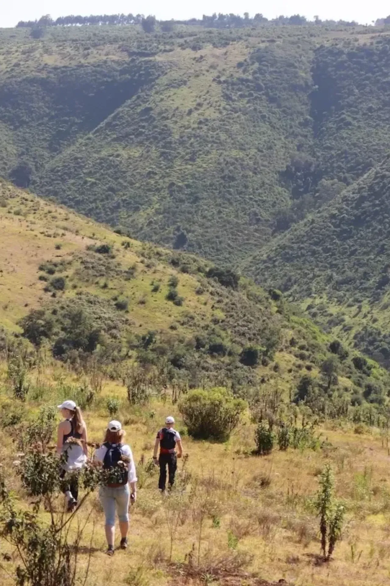 Kolm matkajat laskuvad rohelisse elevandioru Nyahururus Keenias päikeselisel päeval