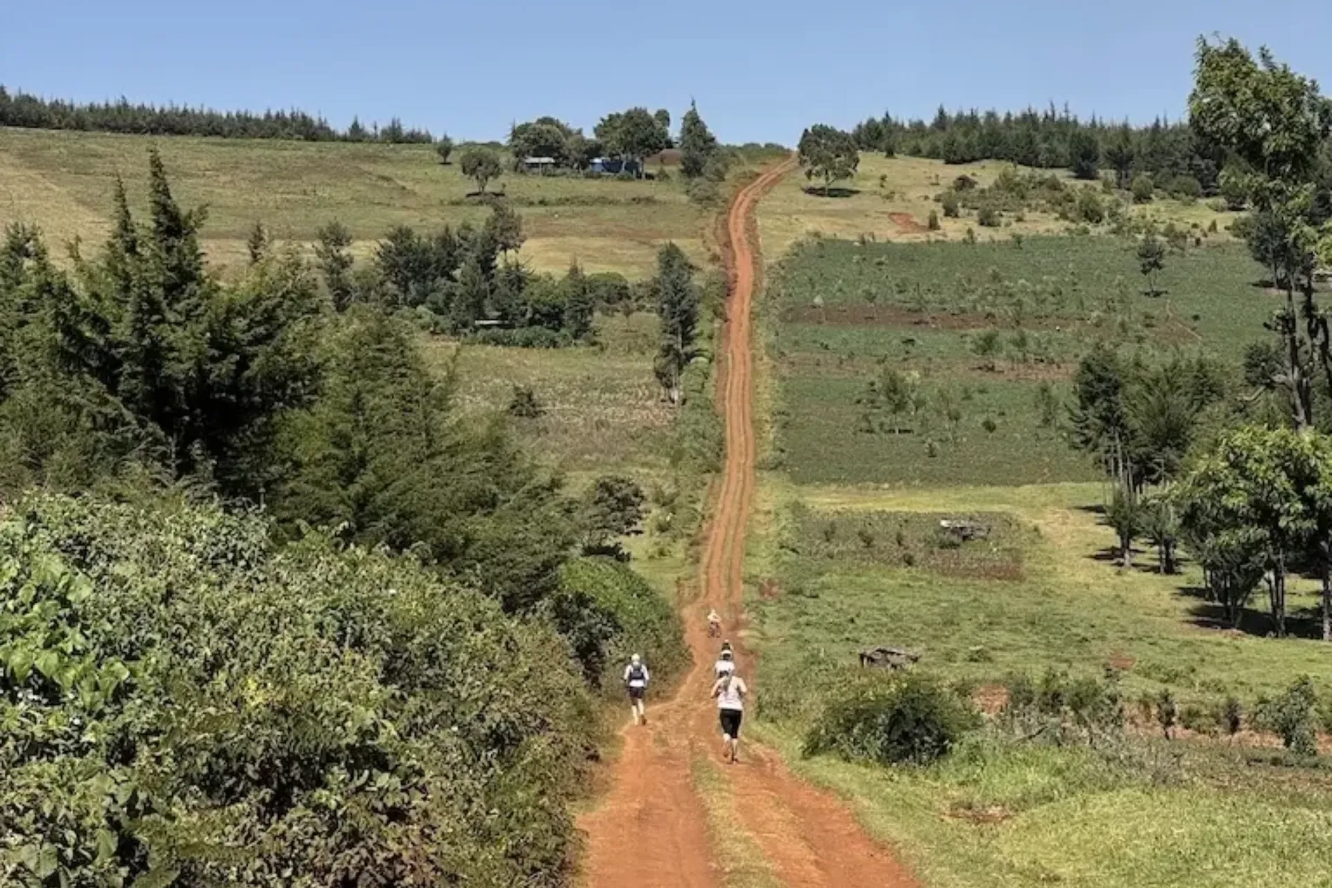 Jooksjad Kenia punasel mullateel mäkkejooksul Nyahururu lähedal